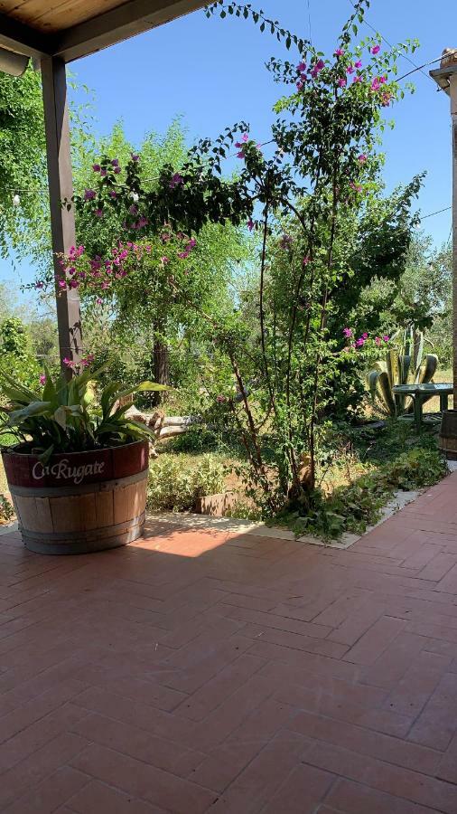 Signor Cesare Agrobistrot B&B 산 조반니 로톤도 외부 사진